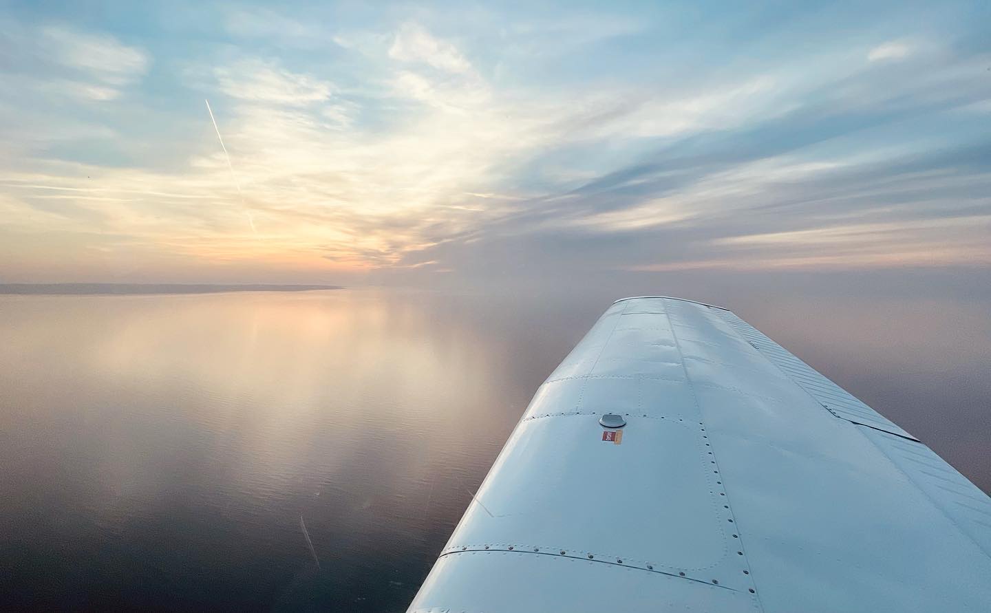 Vinge över havet vid solnedgång